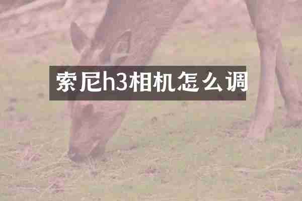 索尼h3相机怎么调