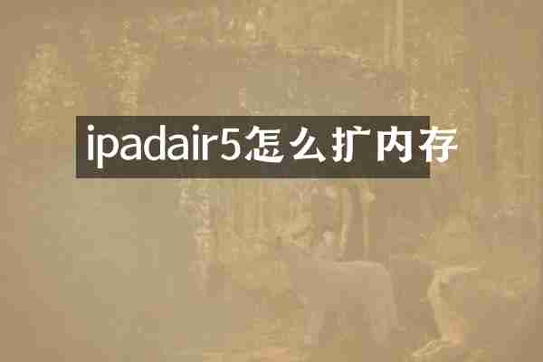 ipadair5怎么扩内存