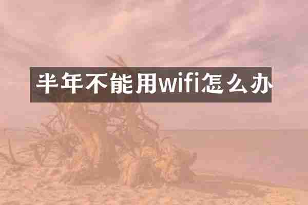半年不能用wifi怎么办