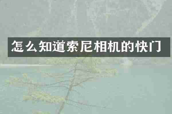 怎么知道相机的快门