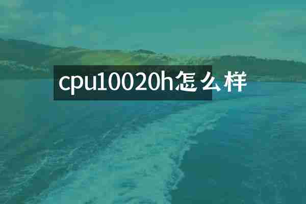 cpu10020h怎么样
