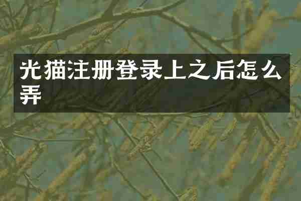 光猫注册登录上之后怎么弄