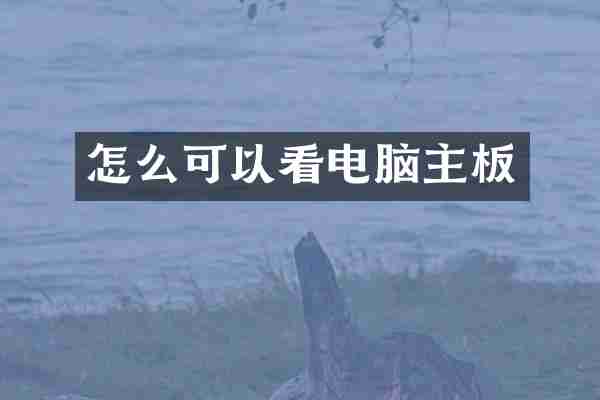 怎么可以看电脑主板