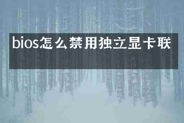 bios怎么禁用独立显卡联想