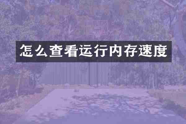 怎么查看运行内存速度