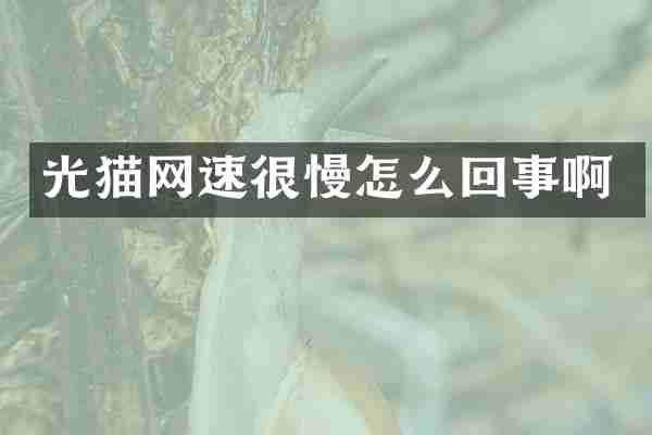 光猫网速很慢怎么回事啊