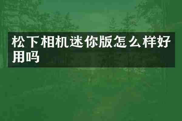 相机迷你版怎么样好用吗