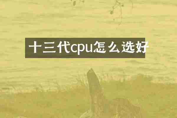 十三代cpu怎么选好