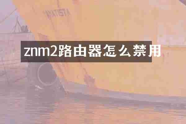 znm2路由器怎么禁用