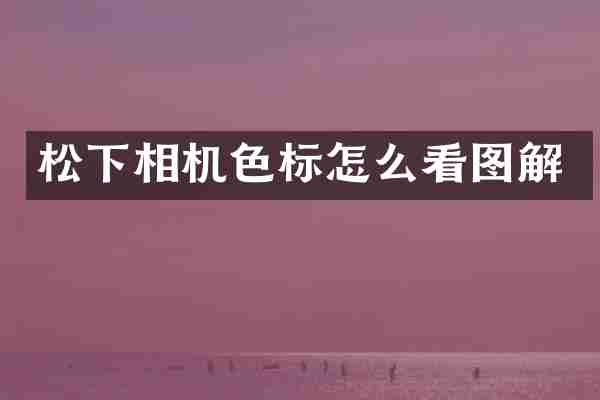 相机色标怎么看图解