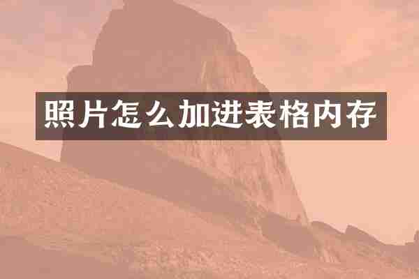 照片怎么加进表格内存