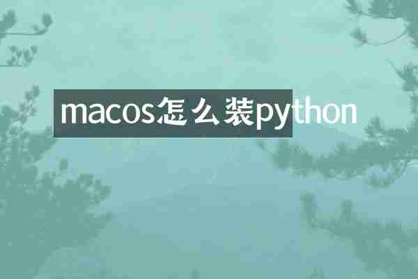 macos怎么装python