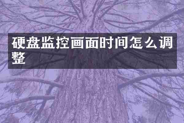 硬盘监控画面时间怎么调整