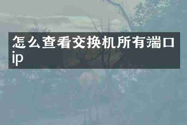 怎么查看交换机所有端口ip