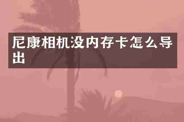 尼康相机没内存卡怎么导出