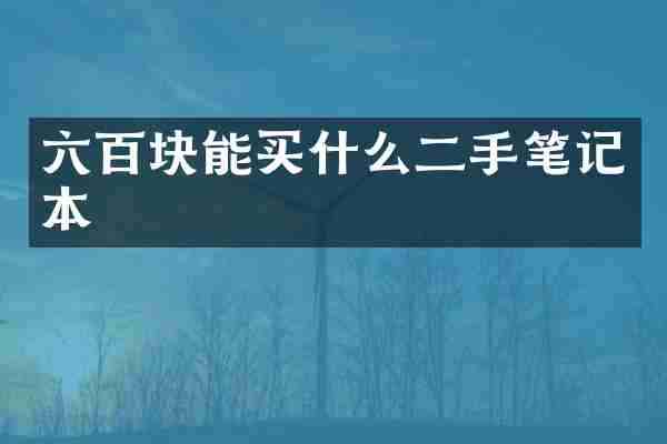 六百块能买什么二手笔记本