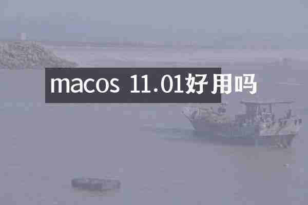 macos 11.01好用吗