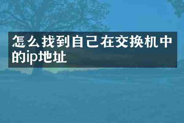 怎么找到自己在交换机中的ip地址