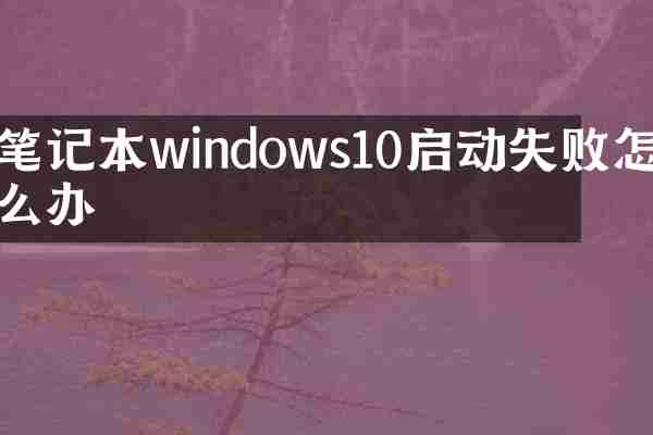 笔记本windows10启动失败怎么办