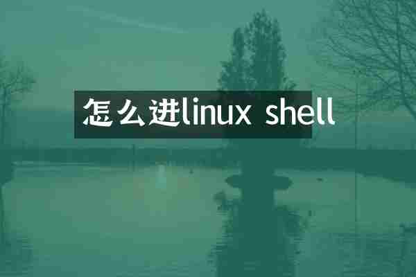 怎么进linux shell
