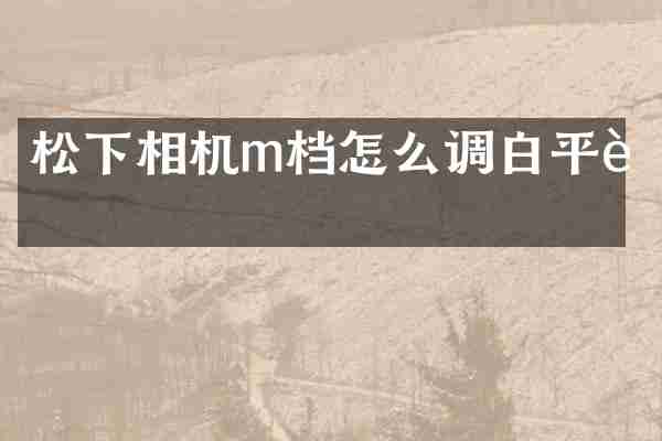 松下相机m档怎么调白平衡