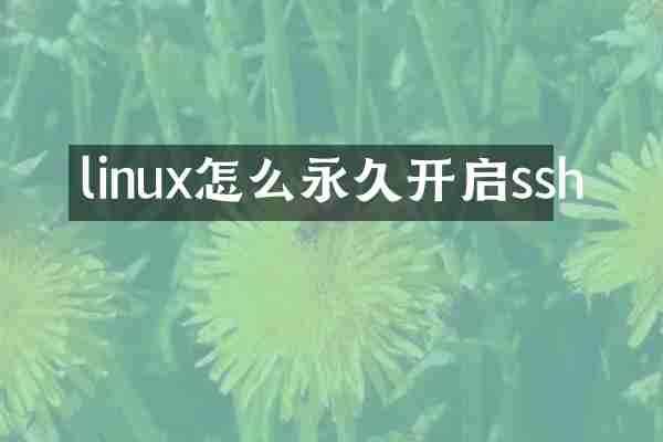 linux怎么永久开启ssh