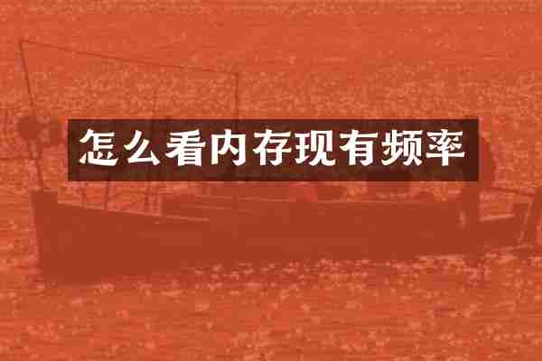 怎么看内存现有频率