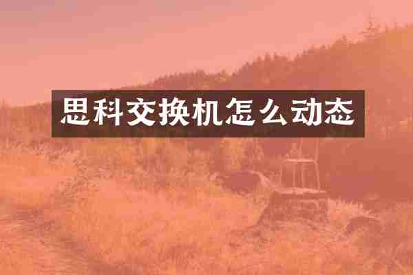 思科交换机怎么动态