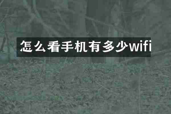 怎么看手机有多少wifi