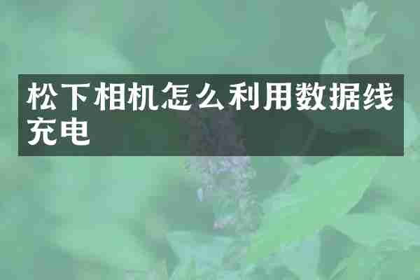 相机怎么利用数据线充电