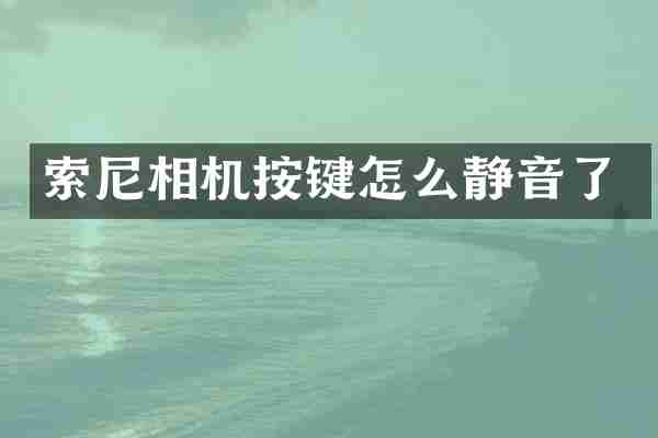 相机按键怎么静音了