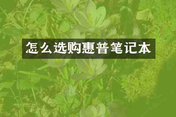 怎么选购惠普笔记本