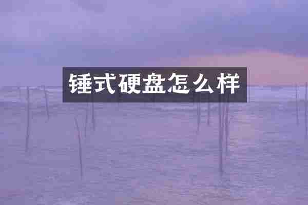 锤式硬盘怎么样