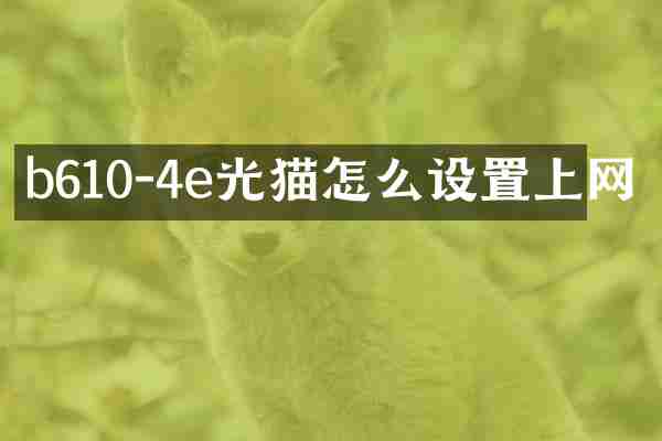 b610-4e光猫怎么设置上网
