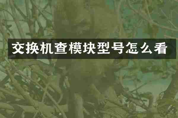 交换机查模块型号怎么看