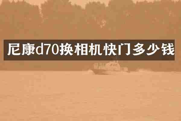 尼康d70换相机快门多少钱