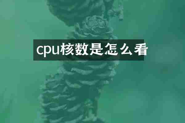 cpu核数是怎么看