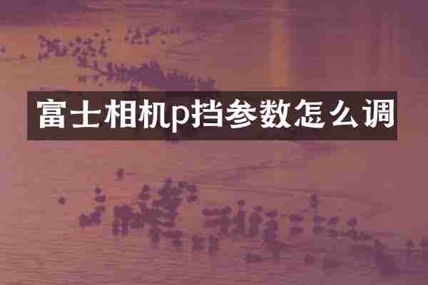 富士相机p挡参数怎么调