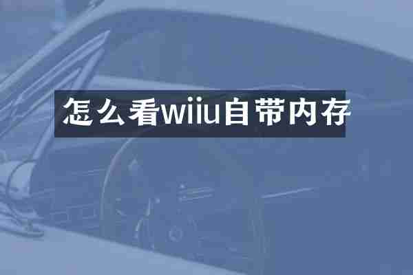 怎么看wiiu自带内存