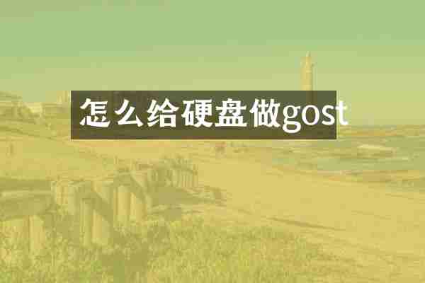 怎么给硬盘做gost