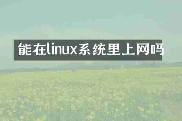 能在linux系统里上网吗