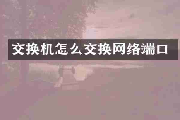 交换机怎么交换网络端口