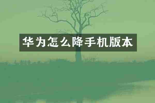 华为怎么降手机版本