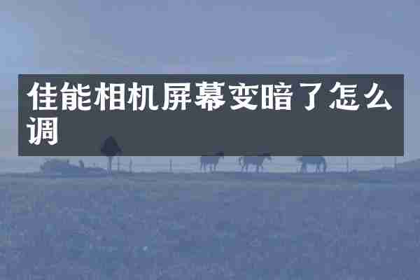 佳能相机屏幕变暗了怎么调