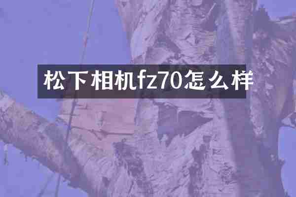 相机fz70怎么样