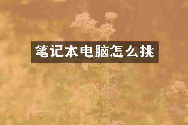 笔记本电脑怎么挑