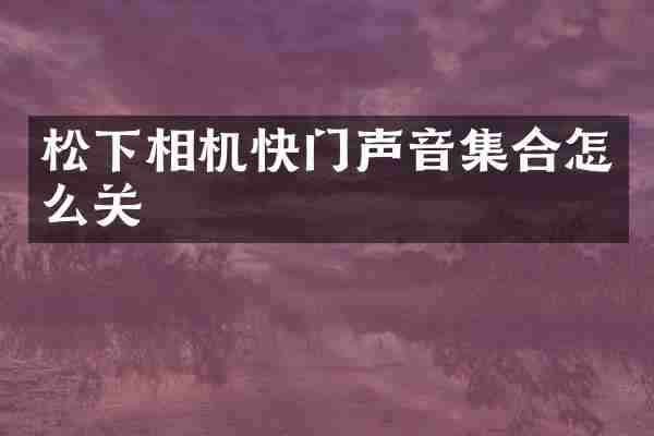 相机快门声音集合怎么关