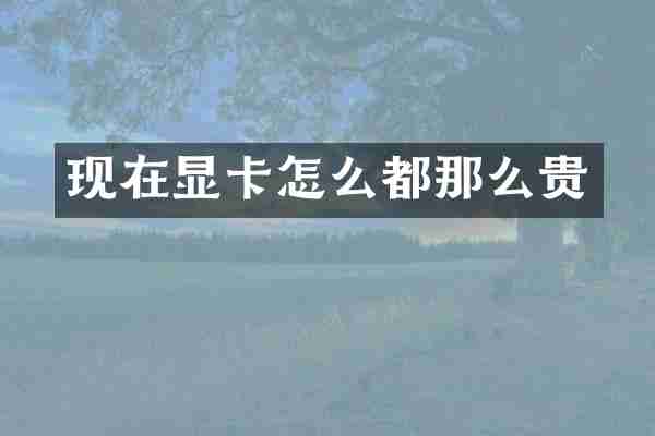 现在显卡怎么都那么贵