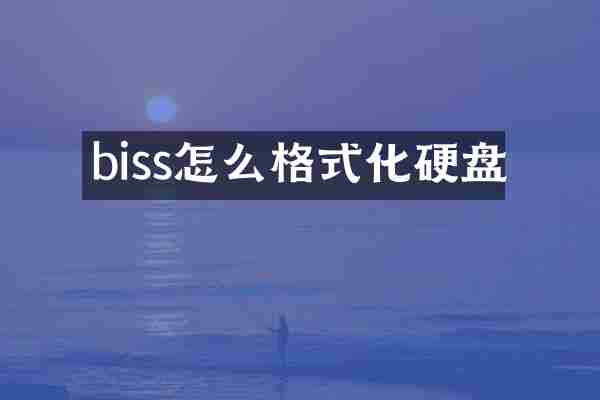 biss怎么格式化硬盘