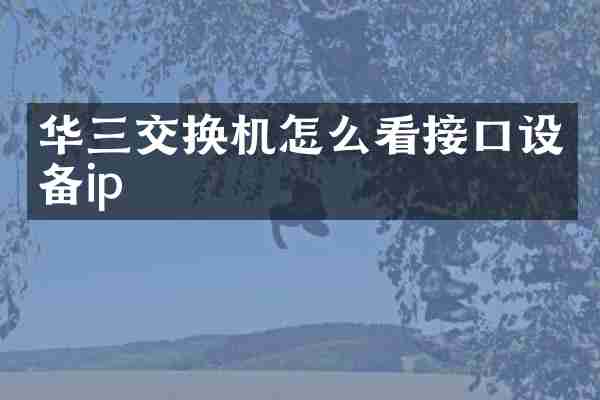 华三交换机怎么看接口设备ip